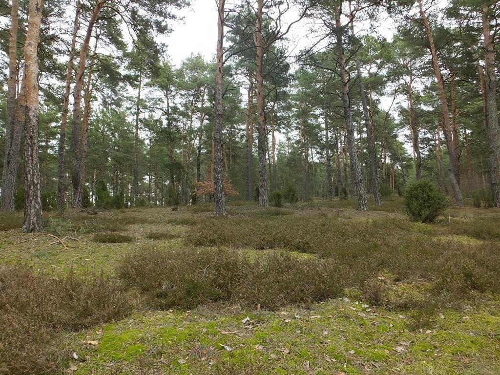 Fotografie Opr