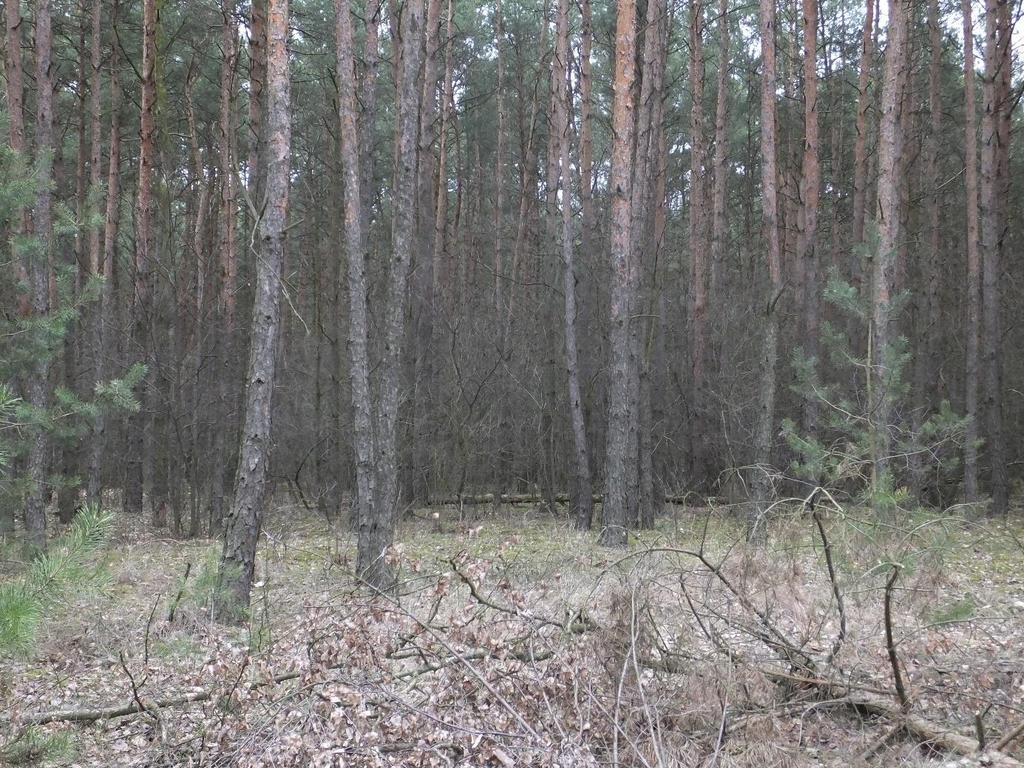 Fotografie Opr