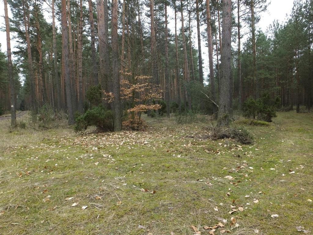 Fotografie Opr