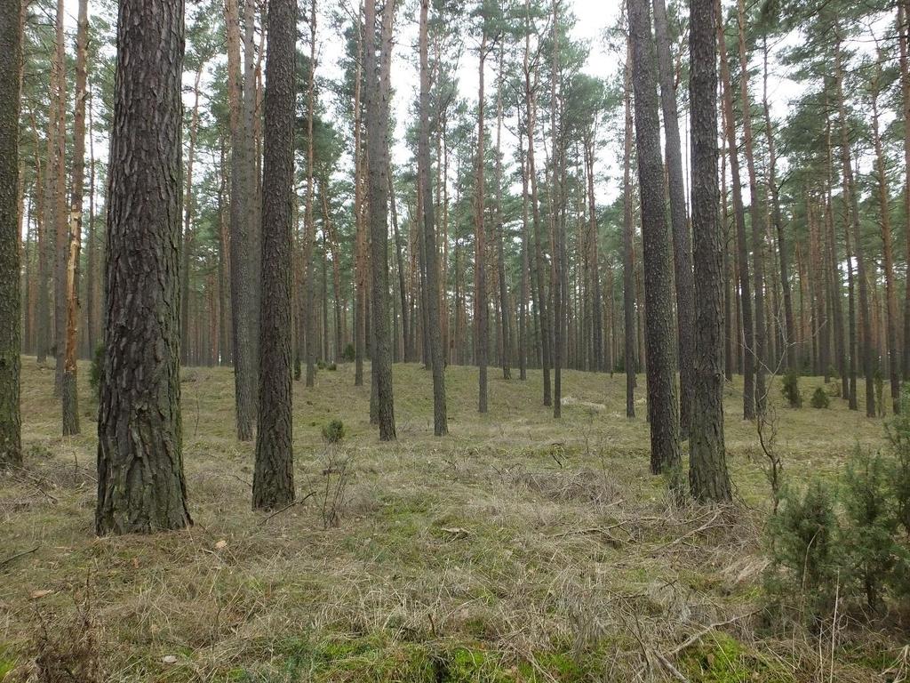 Fotografie Opr