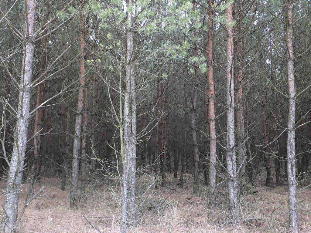 Fotografie Opr