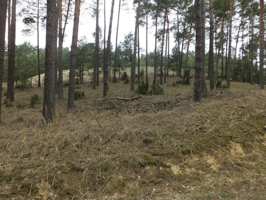 Opracowanie ekofizjograficzne do projektu m.p.z.p. na