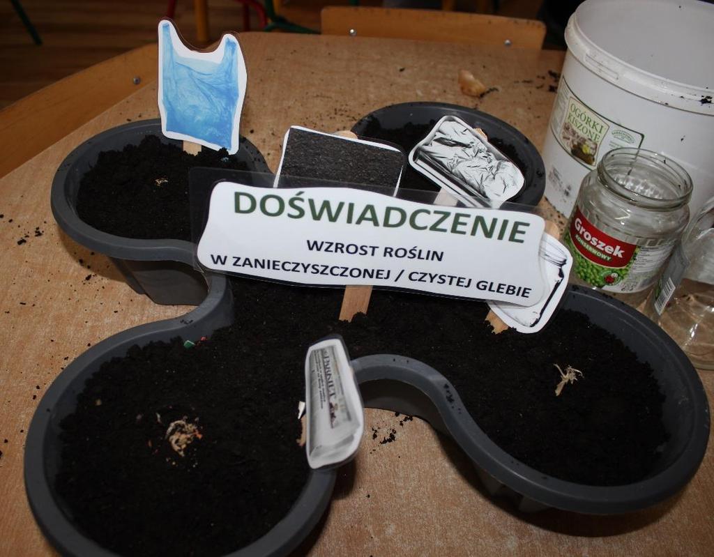 WZROST ROŚLIN A ZANIECZYSZCZENIA