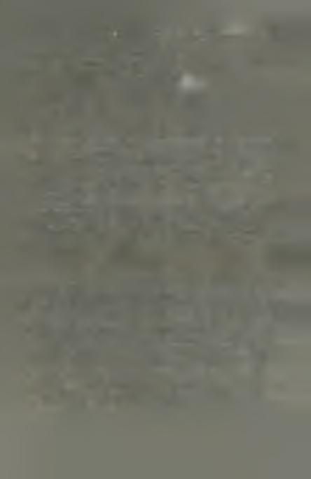 Łupek łyszczykowy z Krobicy (Góry Izerskie) Skała wykazuje barwę srebrzysto-białą z odcieniem zielonawym. Tekstura zdecydowanie łupkowa.