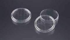 Petriego, aseptyczne, 90mm,wysokość 14,2 mm, 3 żebra wentylacyjne, PS 600szt (25szt w PET90190 Biolab Płytki Petriego, aseptyczne, 90mm,wysokość 15,7mm, bez żeber wentylacyjnych, PS 500szt (20szt w