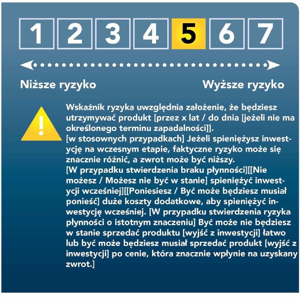 12.4.2017 L 100/25 ZAŁĄCZNIK III PREZENTACJA OGÓLNEGO WSKAŹNIKA RYZYKA Format prezentacji 1.