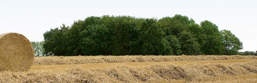 Różnorodne możliwości zastosowania i duży stopień wykorzystania przyczyniają się do ekonomiczności pras zwijających.