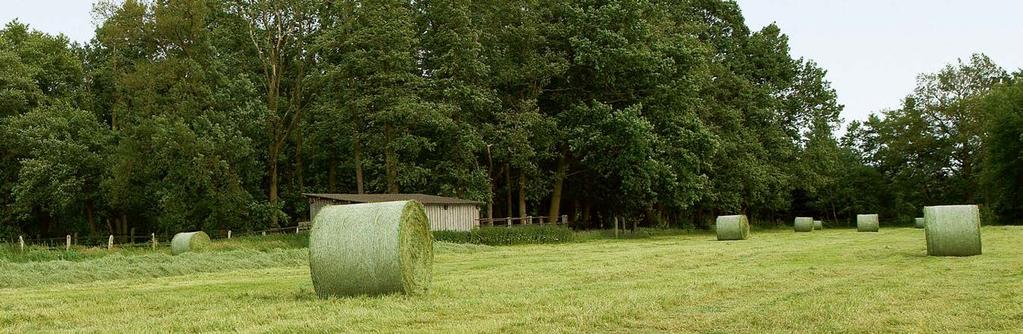 Położenie mechanizmu owijania z przodu maszyny zapewnia wiele zalet: droga przebywana przez materiał