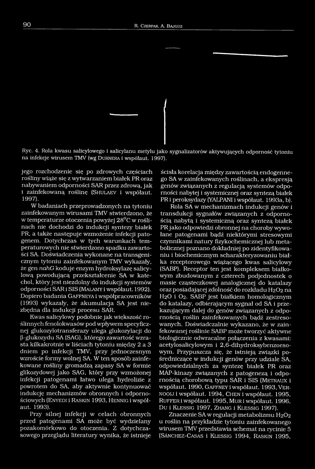 ślin ę (S h u l a e v i w spółau t. 1997).