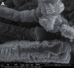 Rys. 8. Względna zmiana rezystywności zapraw z 6 i 7% mas. grafi tu w funkcji naprężenia ściskającego Fig. 8. Relative changes of mortars resistivity with 6 and 7% by mass of expanded graphite as a function of compressive strength dzanych na etapie jego interkalacji.