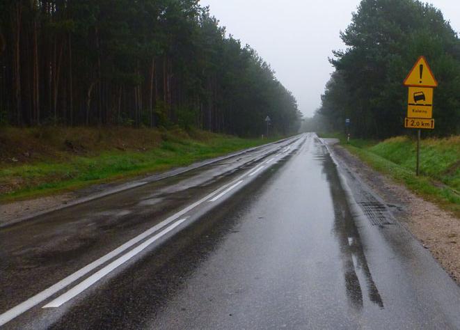 drogowego opisującym stan nawierzchni są koleiny, które wpływają na