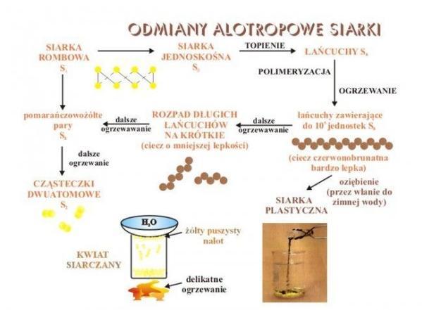 ODMIANY