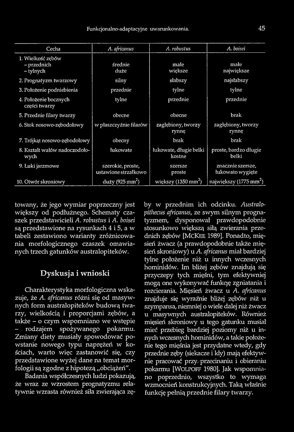 Funkcjonalno-adaptacyjne uwarunkowania. 45 Cecha A. africanus A. robustus A. boisei 1. Wielkość zębów - przednich średnie małe małe - tylnych duże większe największe 2.