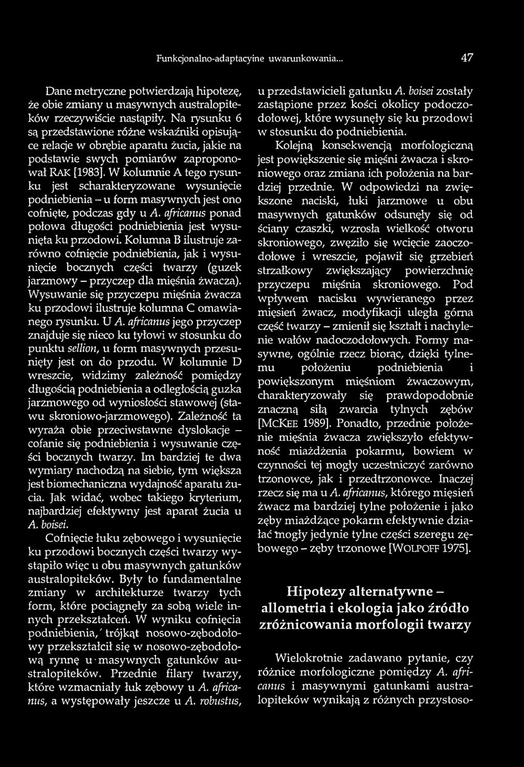 Funkcjonalnoadaptacyine uwarunkowania... 47 Dane metryczne potwierdzają hipotezę, że obie zmiany u masywnych australopiteków rzeczywiście nastąpiły.