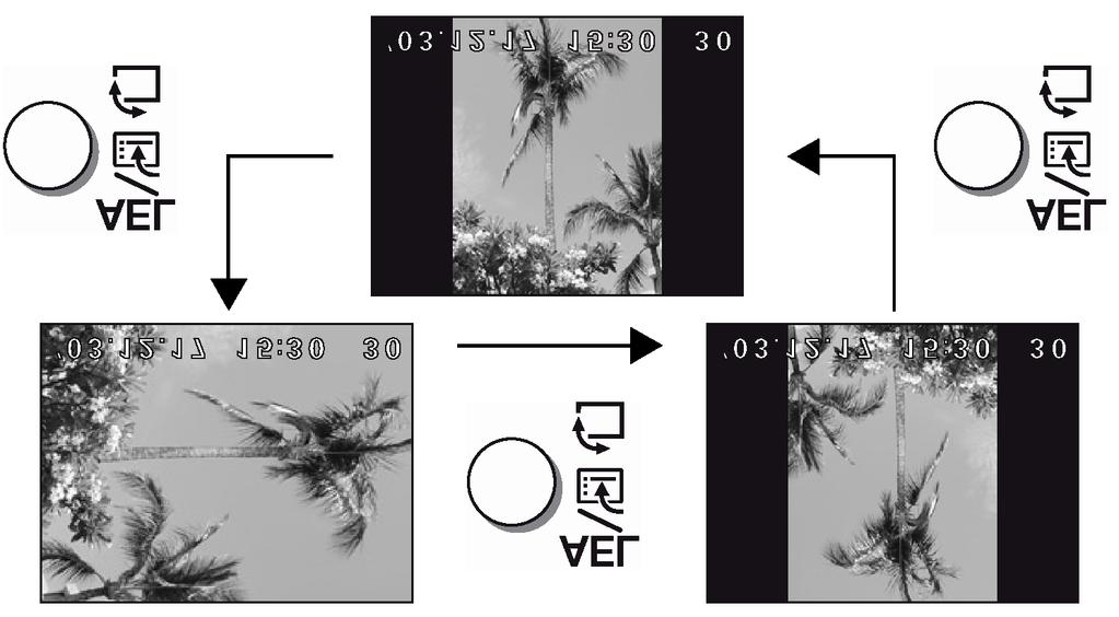 Pełna instrukcja obsługi aparatu Olympus CAMEDIA C-5000 ZOOM Obracanie obrazu Zdjęcia wykonane aparatem trzymanym pionowo, wyświetlane są poziomo.