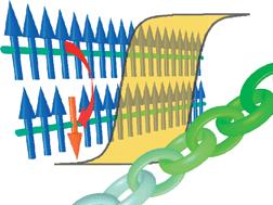 Single Chain Magnets Single Molecule/Chain Magnets pewne molekuły zawierające paramagnetyk mogą posiadać trwały moment magnetyczny w niskich temperaturach nie tworzą domen - większe upakowanie