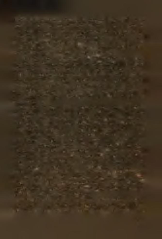 1940 mieszkańcy wysp brytyjskich poznali Polaków, odkryli ich i z ogrormiym zdziwieniem przekonali się, że ci obcy i dziwni przybysze z odległego kraju środkowej Europy są takimi samymi ludźmi, jak i