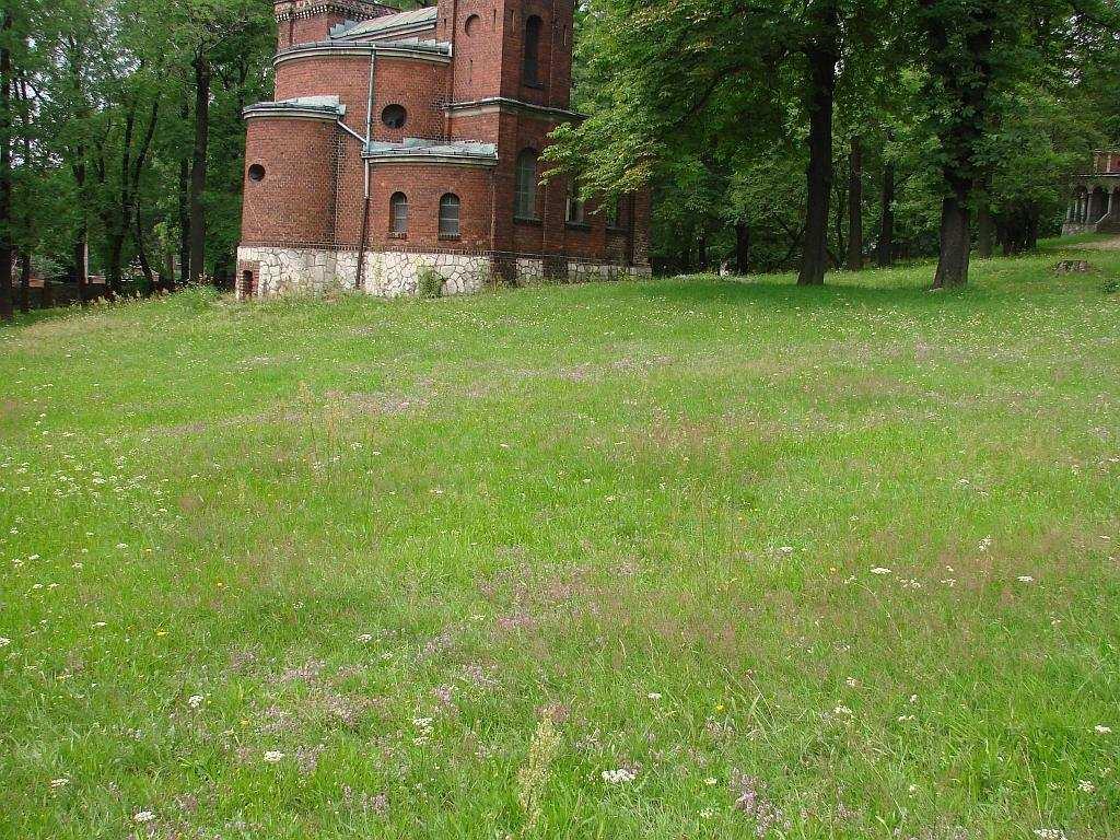 Fot.16 - ŁANY