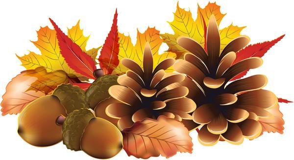 Wrzesień, Tydzień IV Krąg tematyczny: Nadeszła jesień W czwartym tygodniu września dzieci: obserwowały las w jesiennej szacie, wymieniały nazwy wybranych drzew iglastych i liściastych, przedstawiały