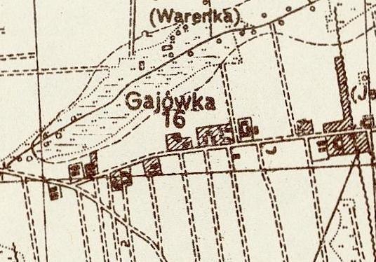 W XIX wiecznym Słowniku Geograficznym Królestwa Polskiego, Dymitrów określany jest, jako wieś w powiecie tureckim, gminie Wichertów i parafii Psary.