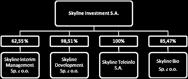 dzień publikacji raportu w skład Grupy Kapitałowej Skyline Investment S.A. wchodziły: podmiot dominujący: Skyline Investment S.A. spółki zależne: Skyline Development Sp. z o.o. Skyline Teleinfo S.A. Skyline Bio Sp.