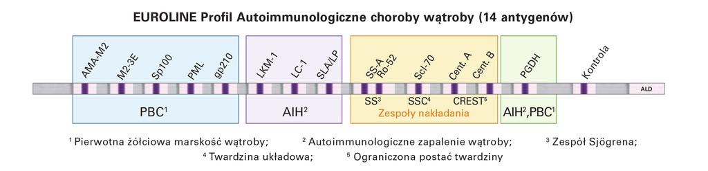 Przeciwciała przeciwko antygenowi LKM-1 można również badać metodami immunoenzymatycznymi (testy ELISA, Immunoblot), gdzie antygenem jest rekombinowany cytochrom P450 IID6.