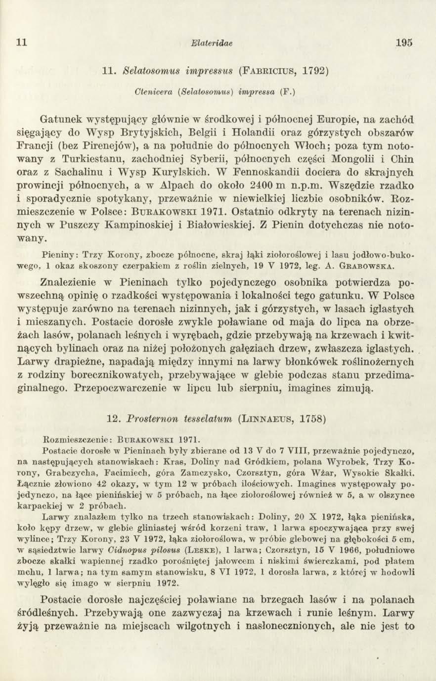 11 Elateridae 1 95 11. Selatosomus impressus ( F a b r i c i u s, 1792) Ctenicera (Selatosomus) impressa (F.