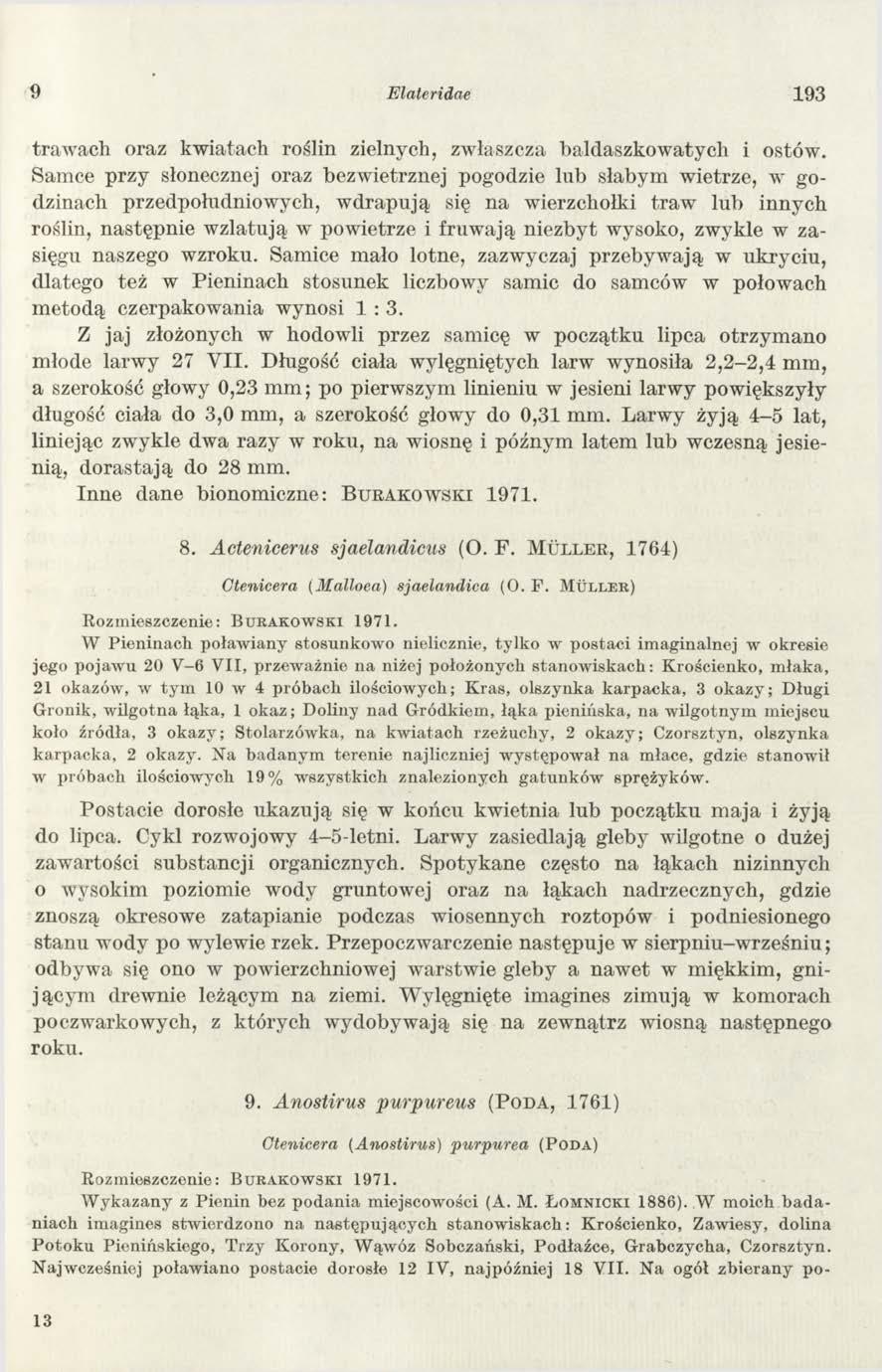 9 Elateridae 193 traw ach oraz kwiatach roślin zielnych, zwłaszcza baldaszkowatycli i ostów.