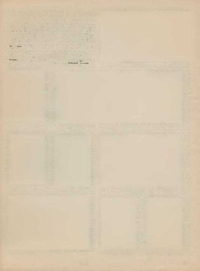 AUSTRIA PRZYŁĄCZONA DO RZESZY NIEM IECK. DN. 13.III.1938 (83.991 km 2, około 7.000.