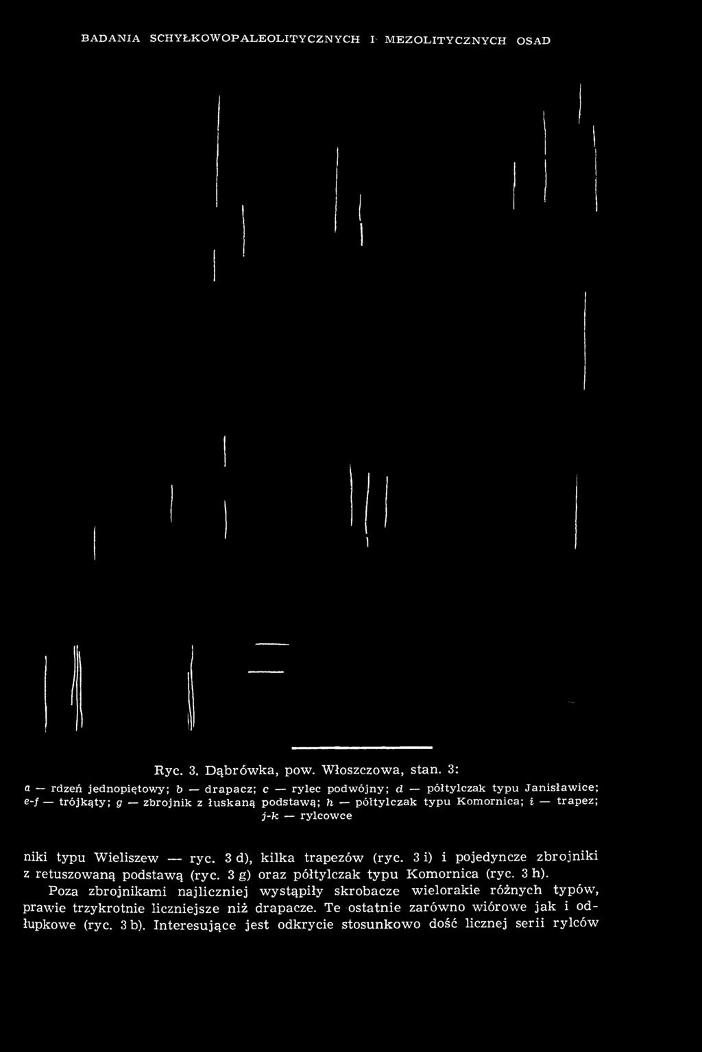 d s t a w ą ; h p ó ł t y l c z a k t y p u K o m o r n i c a ; i t r a p e z ; j-k, r y l c o w c e niki typu Wieliszew ryc. 3 d), kilka trapezów (ryc.