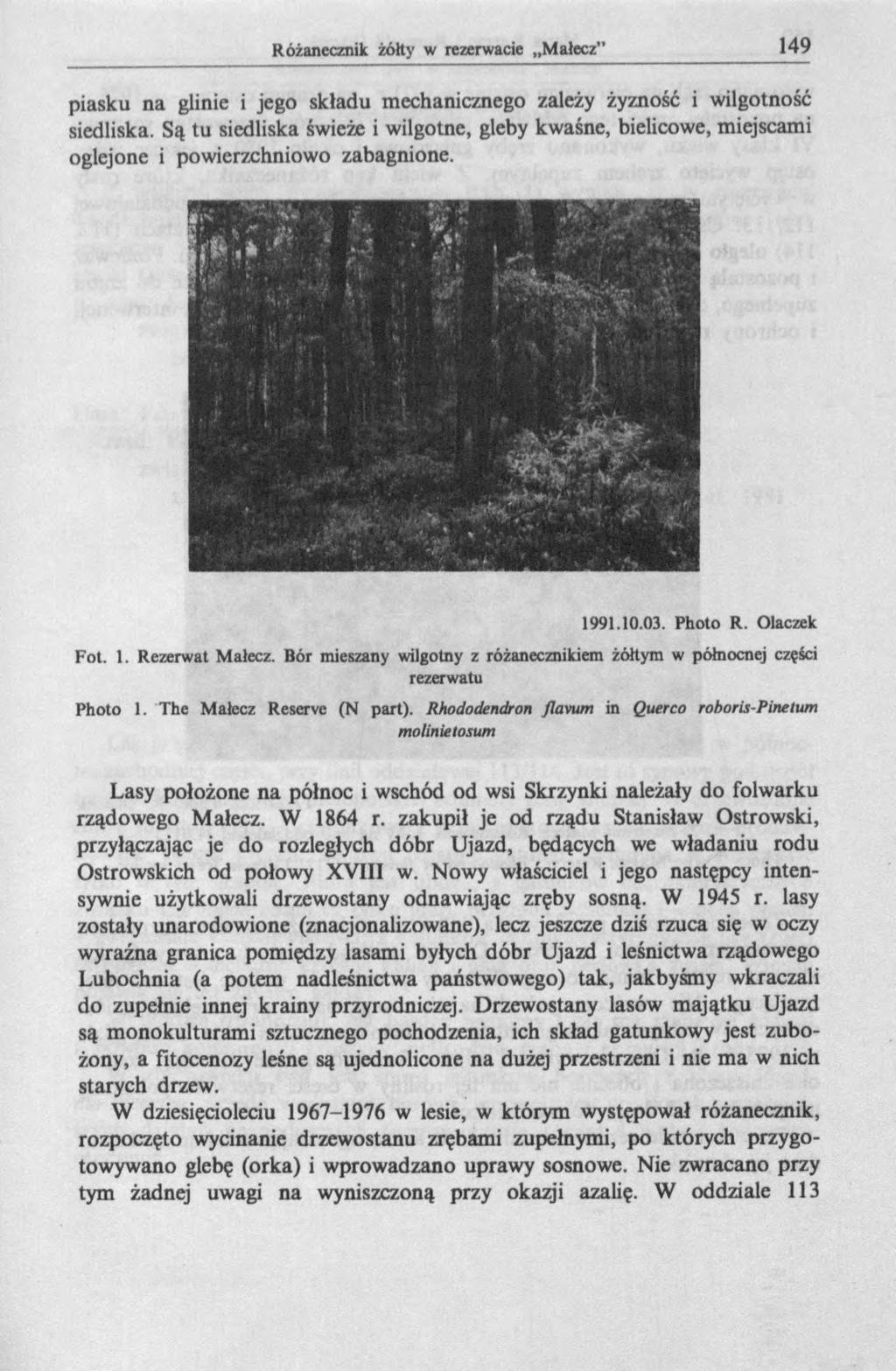 piasku na glinie i jego składu mechanicznego zależy żyzność i wilgotność siedliska. Są tu siedliska świeże i wilgotne, gleby kwaśne, bielicowe, miejscami oglejone i powierzchniowo zabagnione. 1991.10.