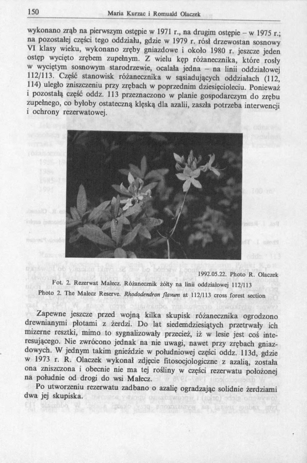 wykonano zrąb na pierwszym ostępie w 1971 r., na drugim ostępie - w 1975 r.; na pozostałej części tego oddziału, gdzie w 1979 r.