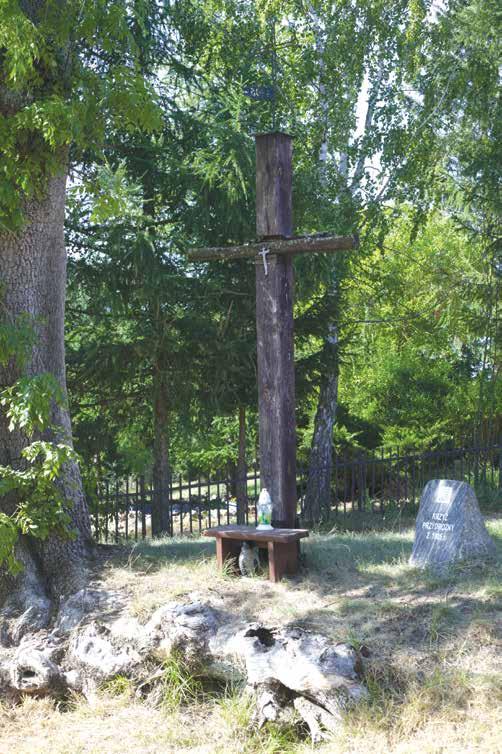 Nadleśnictwo Dąbrowa figura św.