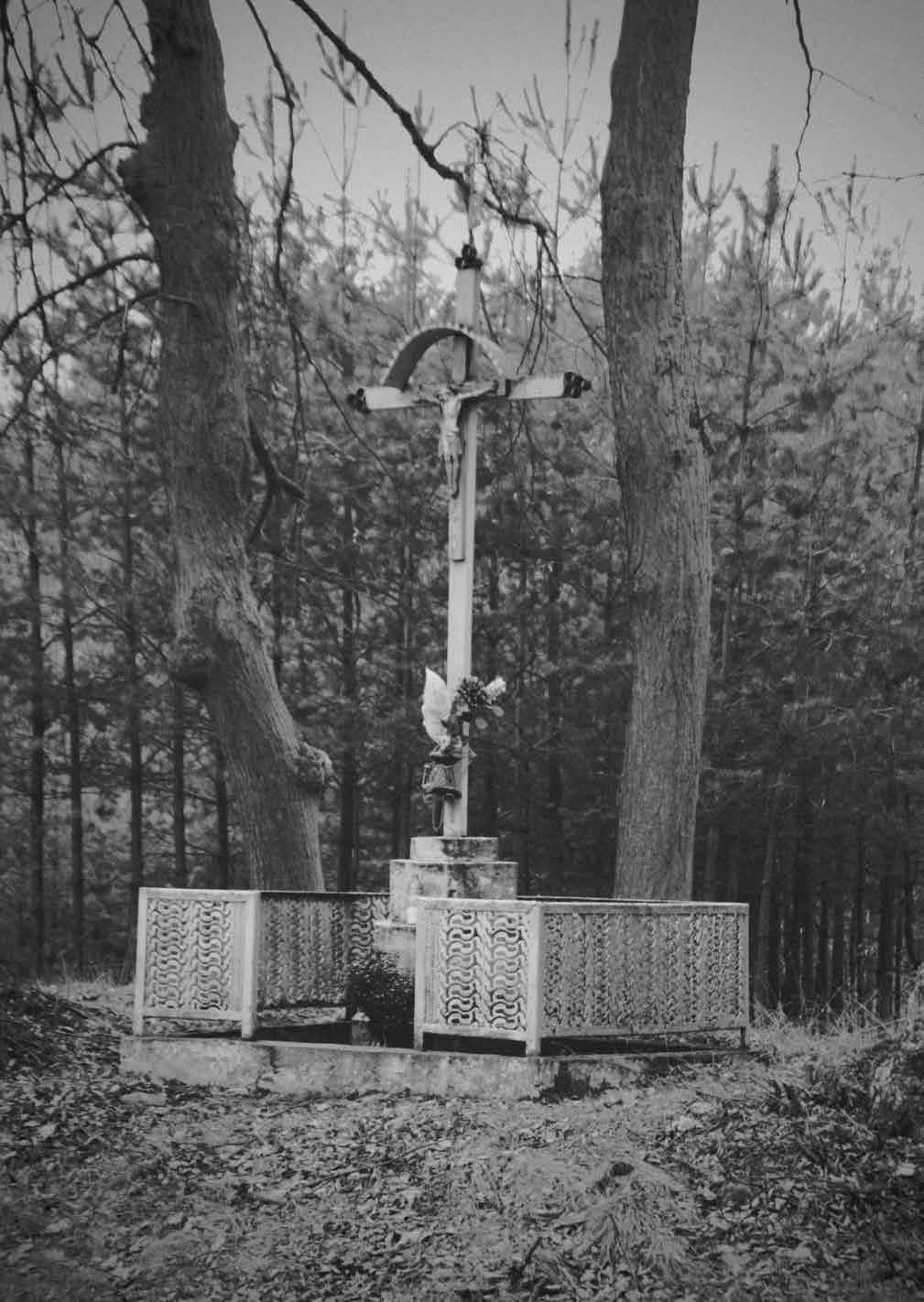 Jan Walkusz Rev.