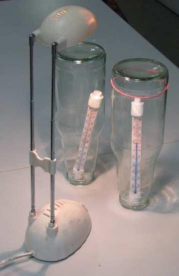 Pokazy i