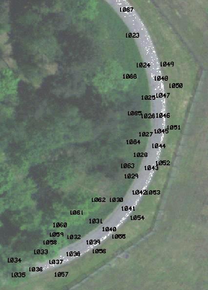 ALS przeprowadzonego w roku 2005, zapisane w formacie ASCII, w postaci współrzędnych (X, Y, Z) punktów