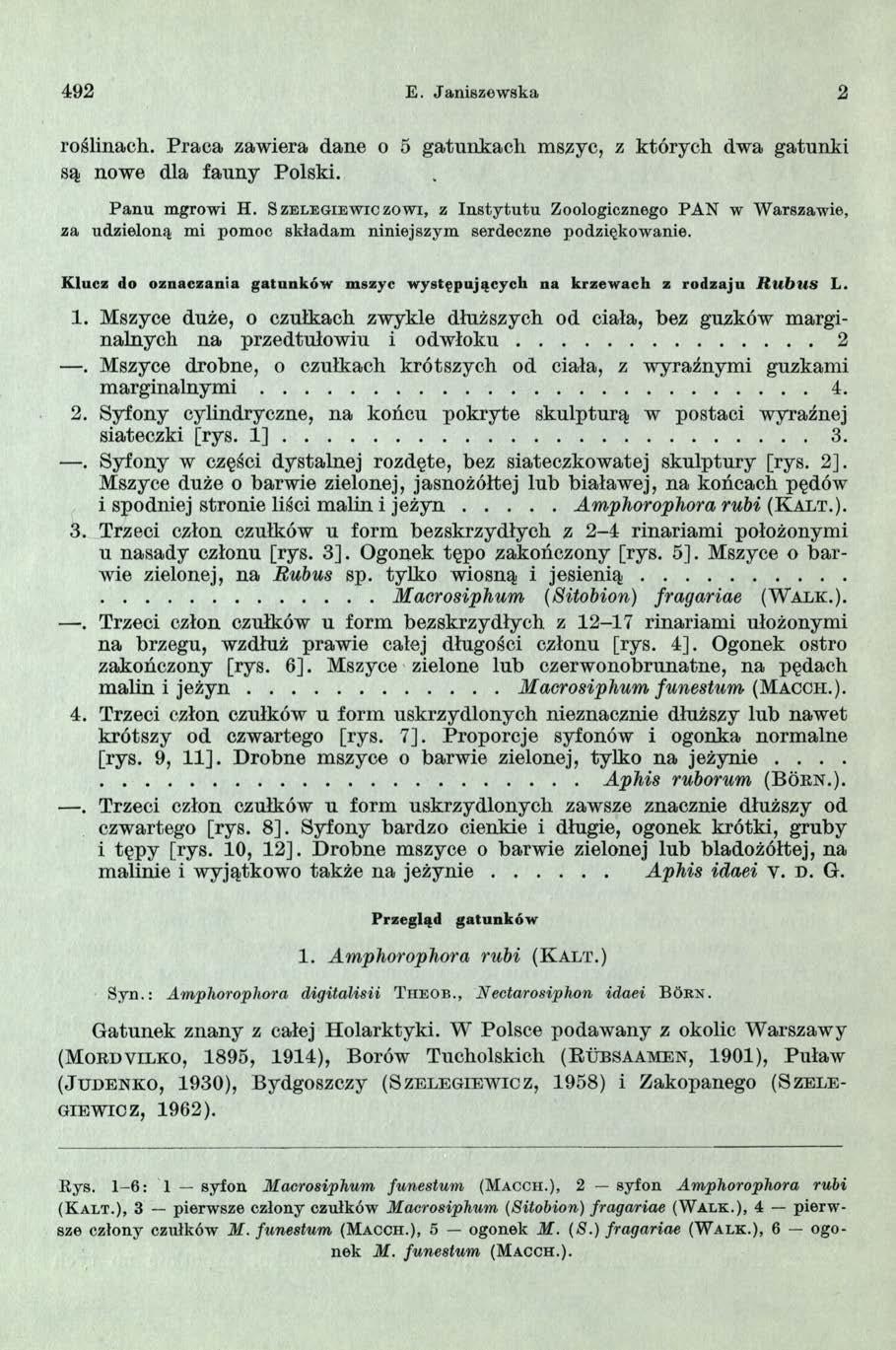 492 E. Janiszew ska 2 roślinach. P raca zawiera dane o 5 gatunkach mszyc, z których dwa gatunki są nowe dla fau n y Polski. P an u mgrowi H.