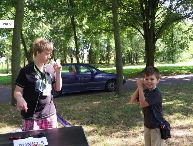 terenie parku darmowe zajęcia z