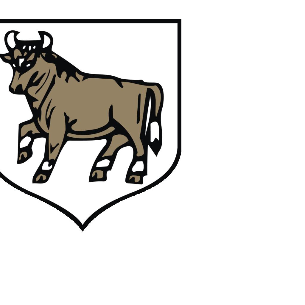 MIEJSCOY PLA ZAGOSPODAROAIA PRZESTRZEEGO GMIY O - STREFA VI skala 1:2000 we DŒbno 100 0 100 200 300 400 METRY SKALA 542111 Za cznk nr 1 do Uchwa y nr LIII3342013 Rady Mejskej w o owe z dna 24.10.2013r.