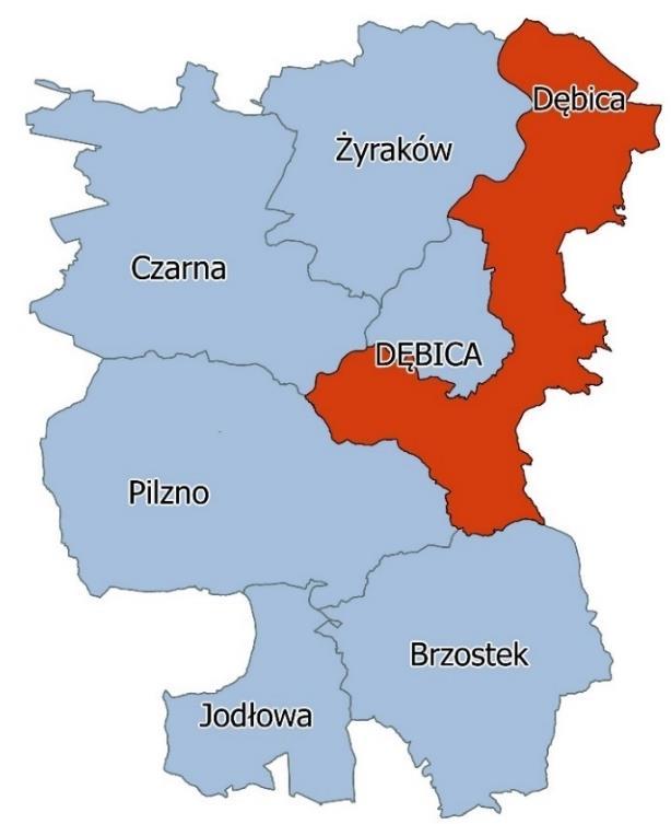 Według danych Urzędu Gminy Dębica na koniec 2014 roku powierzchnia ogółem gminy wynosiła 137,8 km 2, natomiast zamieszkiwało ją 24 998