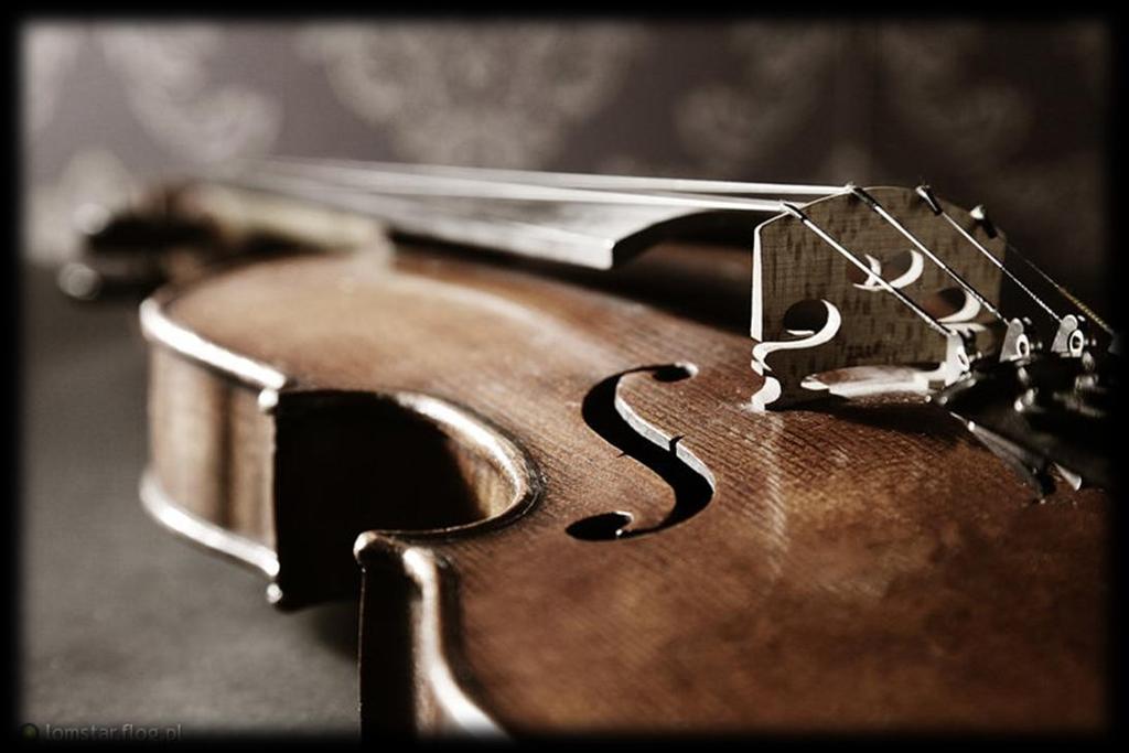 O utworach Piazzolla, Palmeri Tango inmortal Utwór pierwszy to Pory roku Astora Piazzolli, na skrzypce solo i orkiestrę smyczkową.
