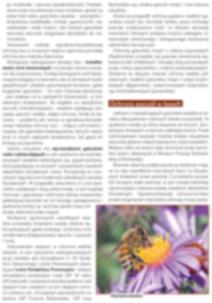 OCHRONA OWADÓW