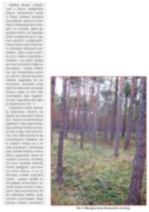 zasiedlające drewno Patogeny
