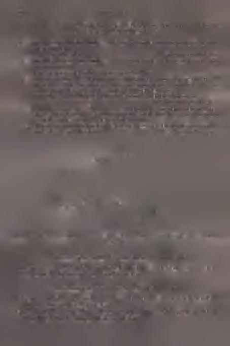 0; front wing reaching to apex of propodeum. Face at least with orbits ivory to r e d - y e llo w... 2. 2. $. Hind wing broad Fig.