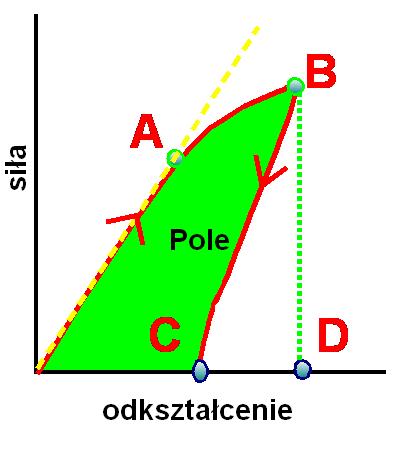 Charakterystyka materiału biologicznego Pętla histerezy: