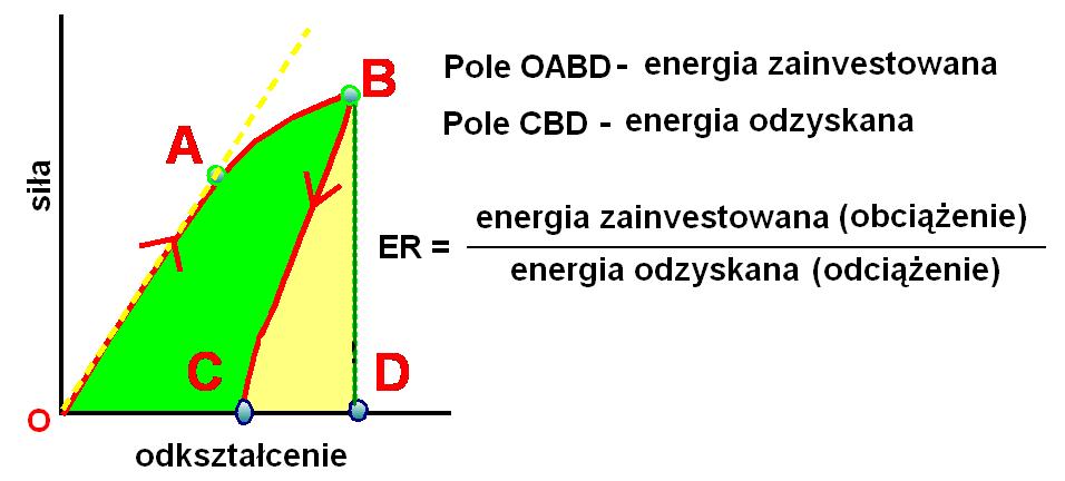 Charakterystyka materiału biologicznego Energia odzyskana, ER: stosunek