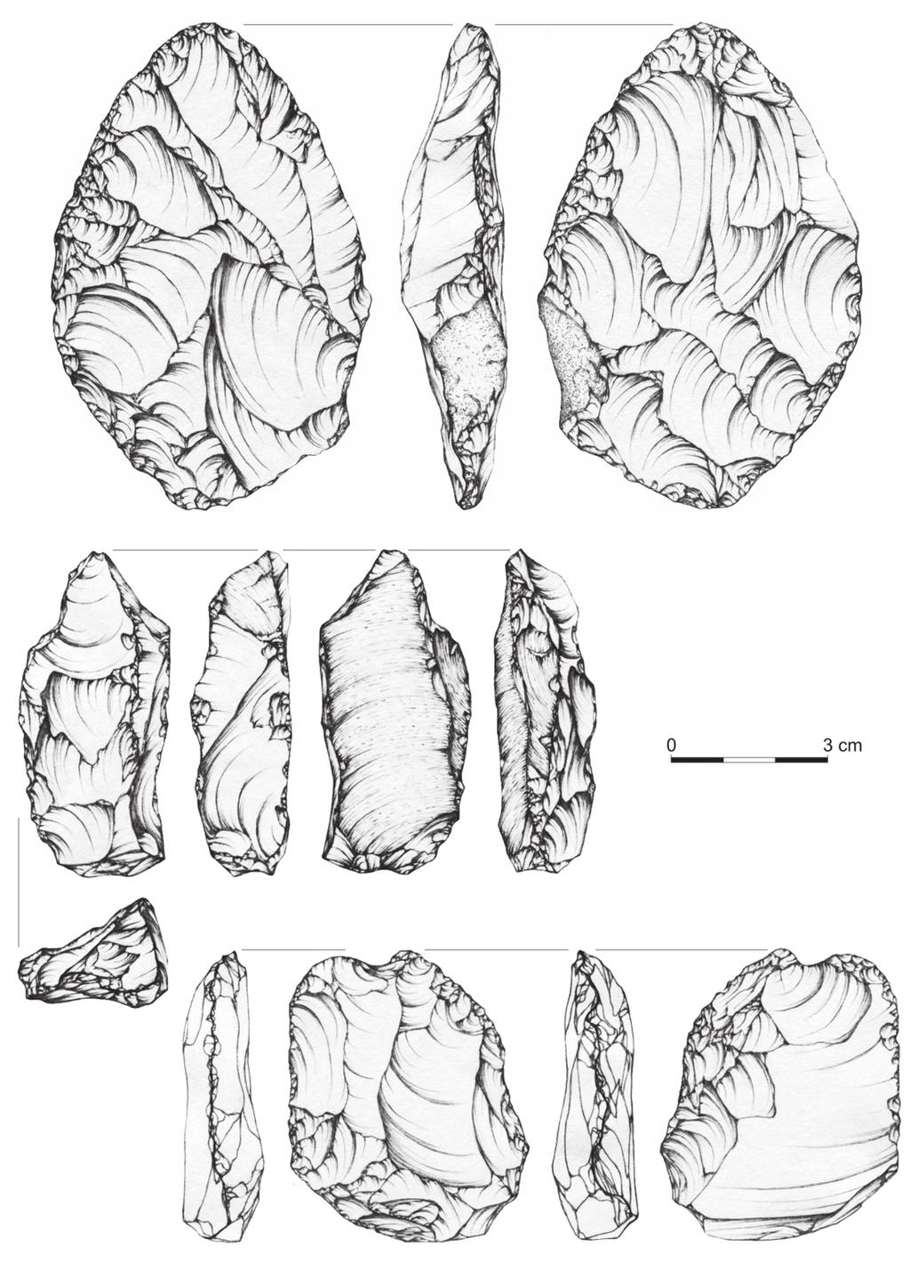 50 K. Sobczyk, P. Valde-Novak Ryc. 5. Jaskinia Ciemna. Wybrane artefakty krzemienne z najmłodszego poziomu mikockiego Fig. 5. Ciemna Cave.