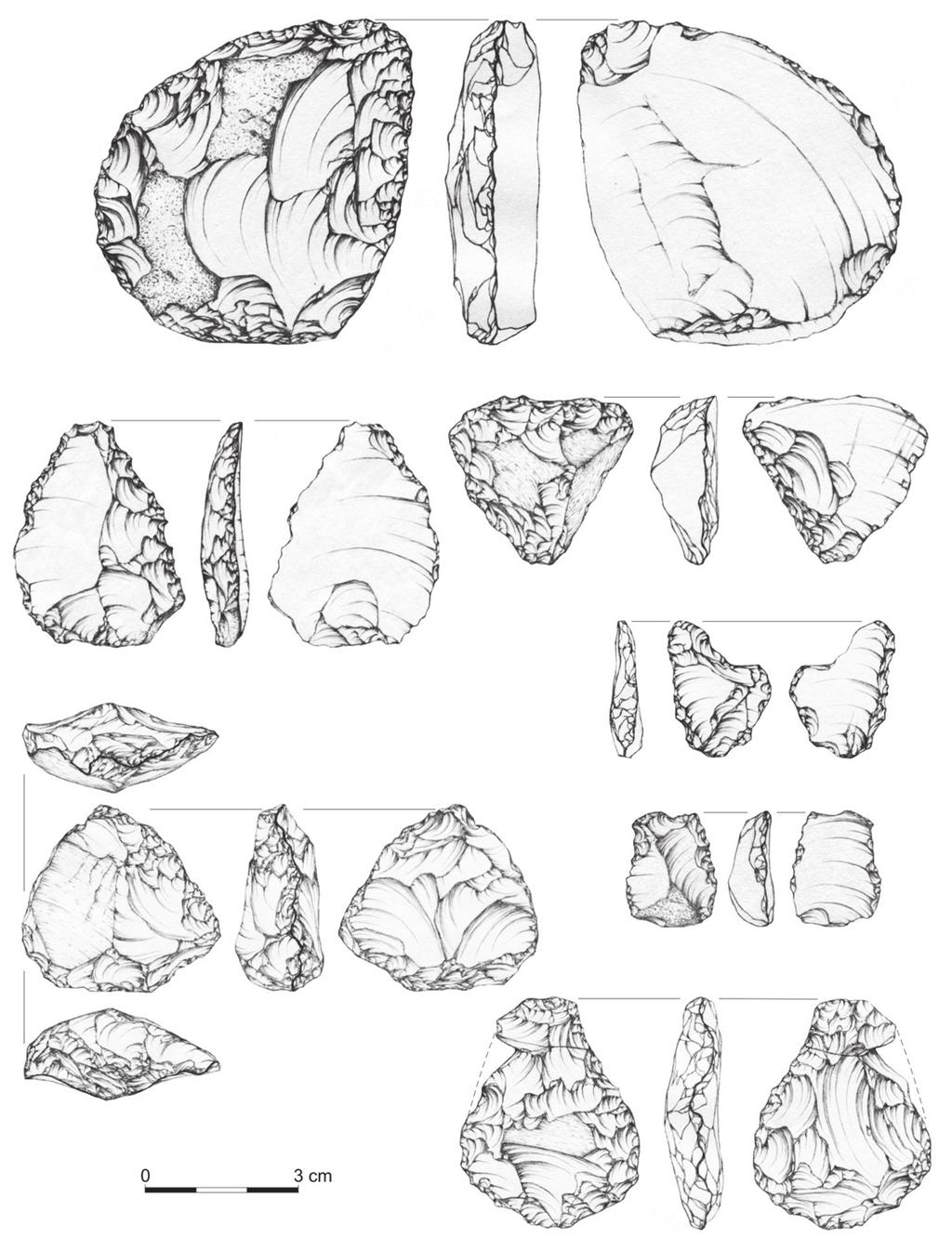 Badania Jaskini Ciemnej w latach 2007 2012 51 Ryc. 7. Jaskinia Ciemna. Wybrane artefakty krzemienne z najniższego poziomu mikockiego Fig. 7. Ciemna Cave.