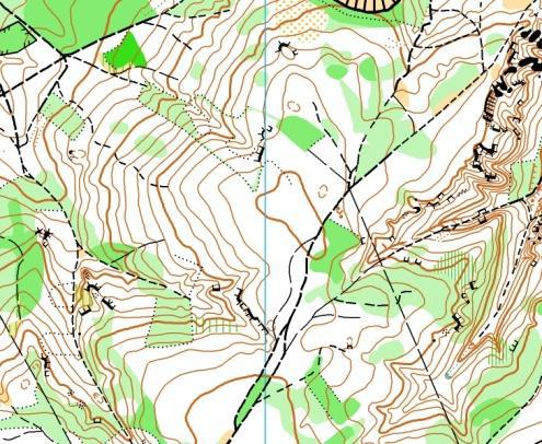 specjalistycznych map do biegu na