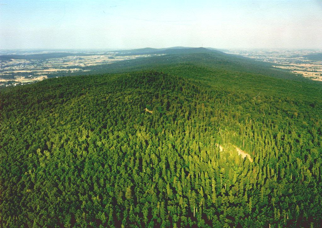 Obszar Natura 2000 Łysogóry na tle projektu